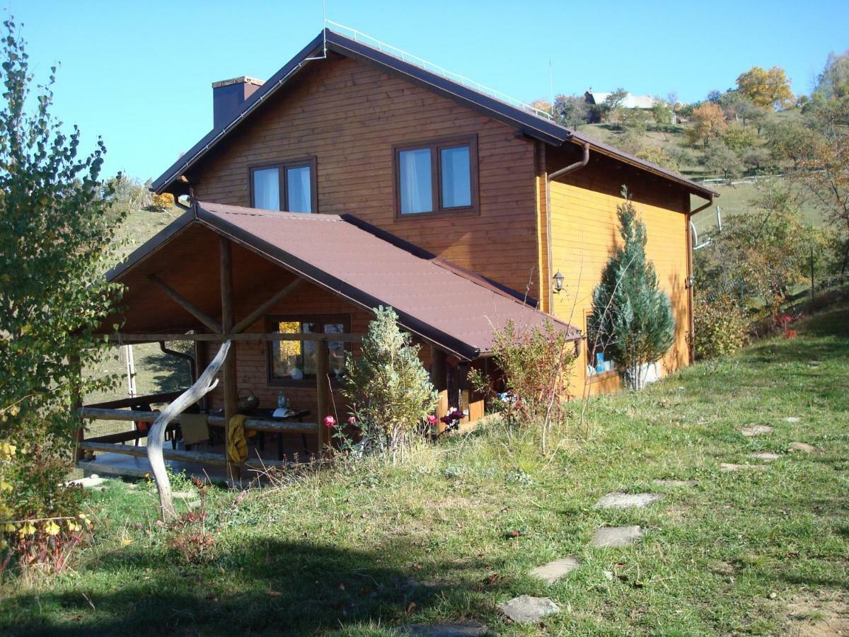 Casa Zara Villa Bran  Ngoại thất bức ảnh