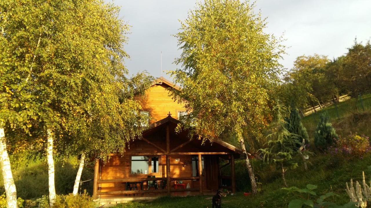 Casa Zara Villa Bran  Ngoại thất bức ảnh