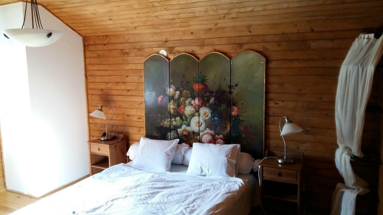 Casa Zara Villa Bran  Ngoại thất bức ảnh